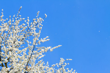 Similar image 20298324