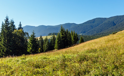 Similar image 20231806