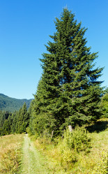 Similar image 20231807