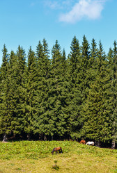 Similar image 20231845