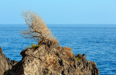 Similar image 20231871