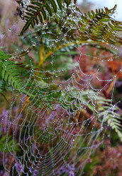 Similar image 20231887