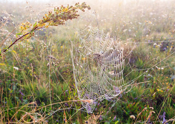 Similar image 20231975