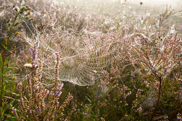 Similar image 20231945