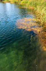 Similar image 20231681