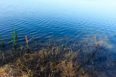 Similar image 20231733