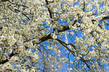 Similar image 20299409