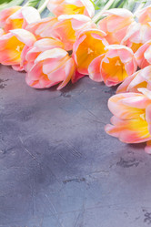 Similar image 20299410