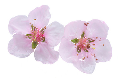 Similar image 20298664