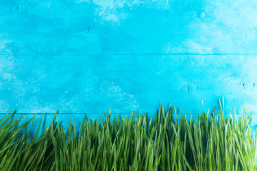 Similar image 20298686