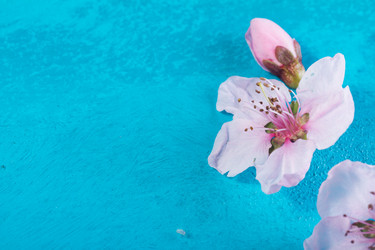 Similar image 20298687