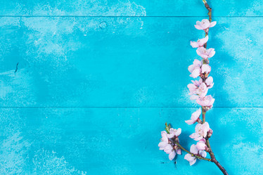 Similar image 20299040