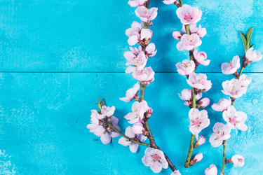 Similar image 20299041