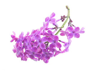 Similar image 20299361