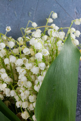 Similar image 20299389