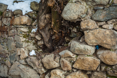 Similar image 20266351