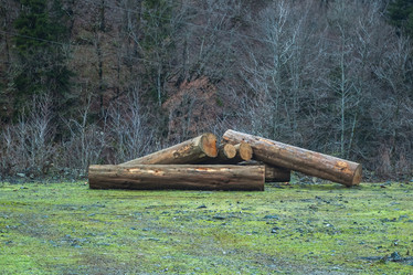 Similar image 20266359