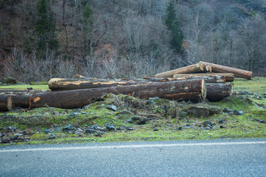 Similar image 20266362