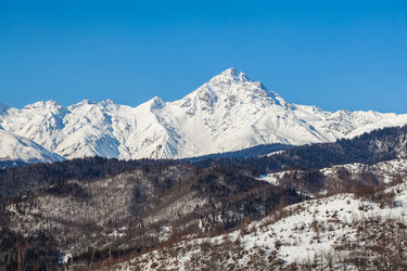 Similar image 20266372