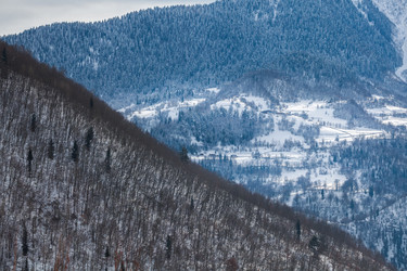 Similar image 20266483