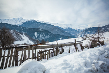 Similar image 20266491