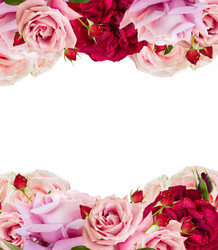 Similar image 20298818