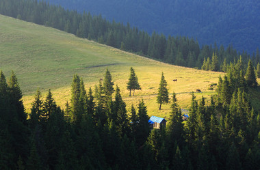 Similar image 20232055