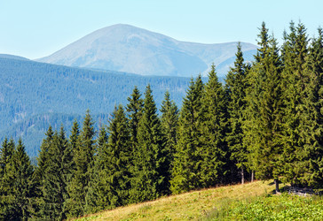 Similar image 20232056