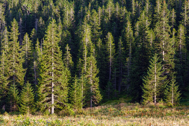 Similar image 20232102