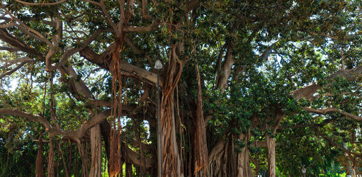 Similar image 20232032