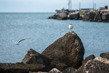 Similar image 20266464