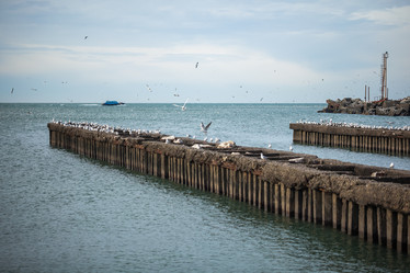 Similar image 20266471