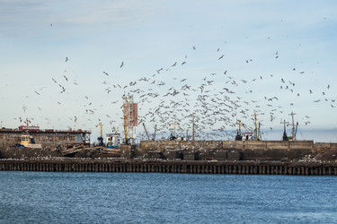 Similar image 20266472