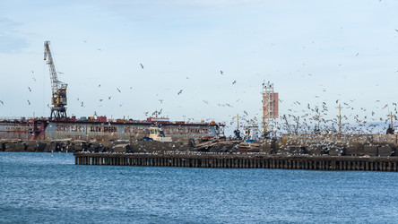 Similar image 20266473