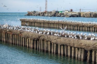 Similar image 20266477