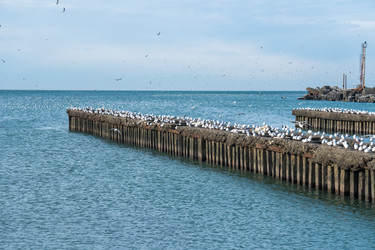 Similar image 20266515