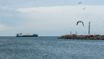 Similar image 20266308