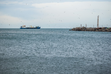 Similar image 20266309