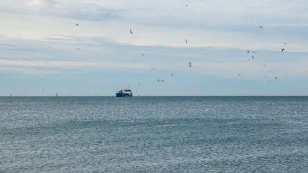 Similar image 20266312