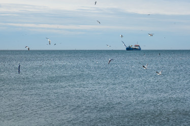 Similar image 20266313