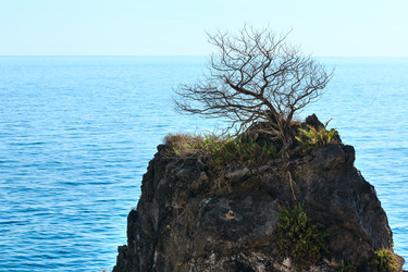 Similar image 20232058