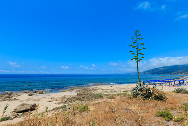 Similar image 20231968