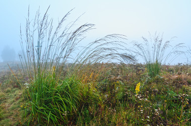 Similar image 20232121