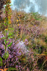 Similar image 20232122