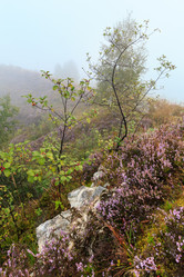 Similar image 20232124