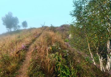 Similar image 20232138