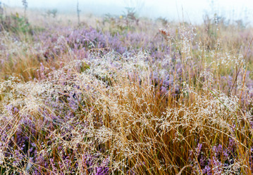 Similar image 20232136