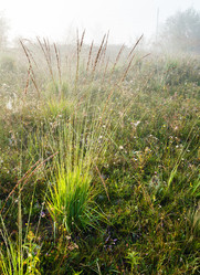 Similar image 20232139