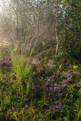 Similar image 20232143