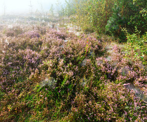 Similar image 20232144